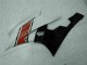 ABS Plastica Moto R6 06-07 - Rosso Bianco ABS Plastica Moto R6 06-07 - Rosso Bianco