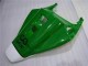 Carene Moto CBR 1000 RR 04-05 - Verde Bianco