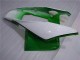 Carene Moto CBR 1000 RR 04-05 - Verde Bianco