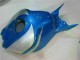 Carene Moto CBR 1000 RR 06-07 - Blu Argento Carene Moto CBR 1000 RR 06-07 - Blu Argento
