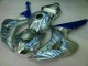 Carene Moto CBR 1000 RR 06-07 - Blu Fiamma Argento