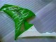Carene Moto CBR 1000 RR 06-07 - Verde Carene Moto CBR 1000 RR 06-07 - Verde