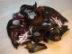 Carene Moto GSXR 1300 Hayabusa 96-07 - Nero Rosso Fiamma Carene Moto GSXR 1300 Hayabusa 96-07 - Nero Rosso Fiamma