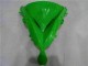 Carene Moto & Plastica Moto EX650 06-08 - Verde Nero Carene Moto & Plastica Moto EX650 06-08 - Verde Nero