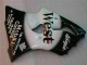 Carene Moto ZX6R 00-02 - Nero West Ninja