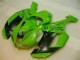 Carene Moto ZX6R 07-08 - Verde Nero Dunlop Carene Moto ZX6R 07-08 - Verde Nero Dunlop