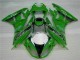 Carene Moto ZX6R 09-12 - Verde Nero LeoVince Carene Moto ZX6R 09-12 - Verde Nero LeoVince