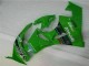 Carene Moto ZX6R 09-12 - Verde Nero LeoVince Carene Moto ZX6R 09-12 - Verde Nero LeoVince
