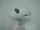 Carrozzeria Moto & Carena Moto CBR 1000 RR 04-05 - Blu Bianco Carrozzeria Moto & Carena Moto CBR 1000 RR 04-05 - Blu Bianco