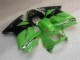 Carrozzeria Moto & Carena Moto EX250 08-12 - Verde Nero