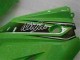 Carrozzeria Moto & Carena Moto EX250 08-12 - Verde Nero