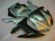Carrozzeria Moto & Carena Moto R1 02-03 - Argento
