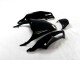 Kit Carenatura Moto Completa ZX14R ZZR 1400 12-21 - Nero Verde Kit Carenatura Moto Completa ZX14R ZZR 1400 12-21 - Nero Verde