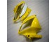 Kit Carene R6 06-07 - Giallo Bianco Nero
