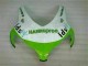 Kits Carene Moto Completa CBR 1000 RR 08-11 - Verde Bianco