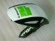 Kits Carene Moto Completa CBR 1000 RR 08-11 - Verde Bianco