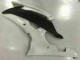 Kits Carene Moto & Plastica Moto R6 08-16 - Bianco Kits Carene Moto & Plastica Moto R6 08-16 - Bianco